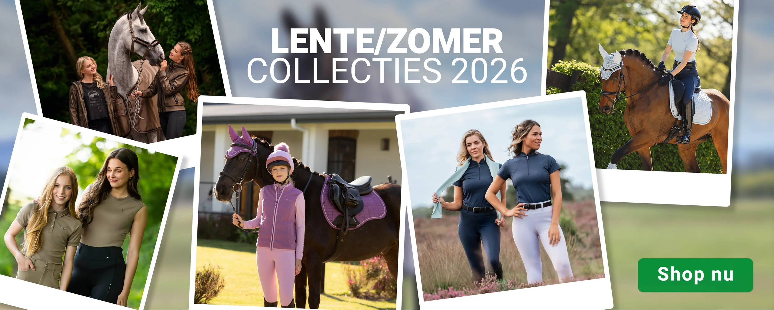 Alles voor paard en ruiter